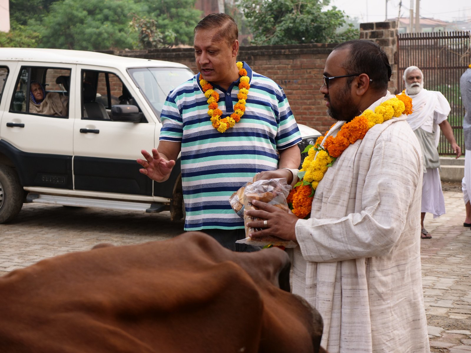  27 Gopashtami Radha kunda Govardhan 19.11.04